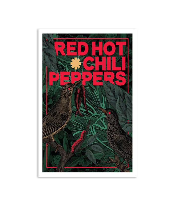Limited Red Hot Chili Peppers Poster | Custom prints store