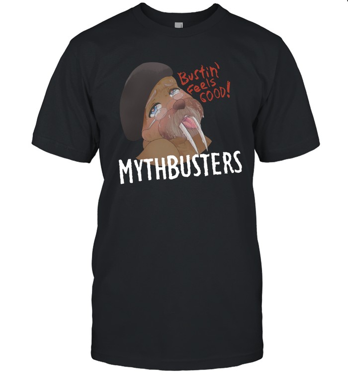 Allen Pan Bustin' Feels Good Mythbusters Custom prints store T